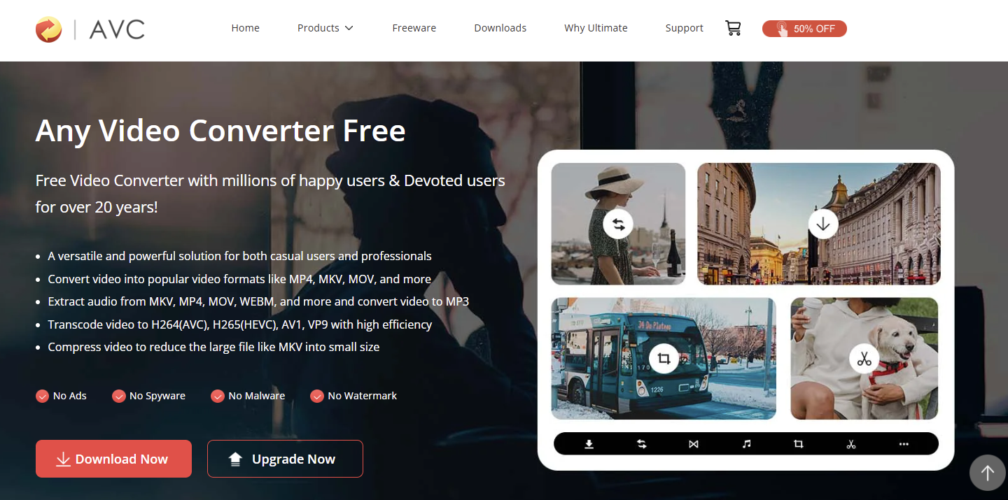 Any Video Converter (AVC)